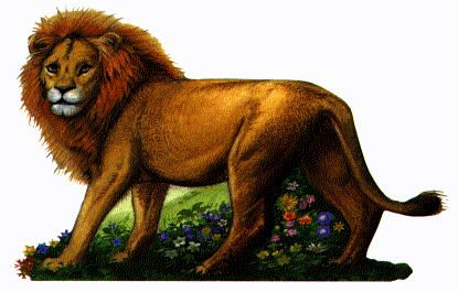 aslan2.gif (34632 bytes)
